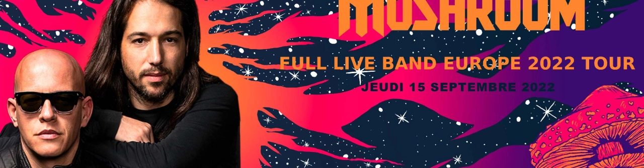 Infected Mushroom I 25 Years - Live in Europe