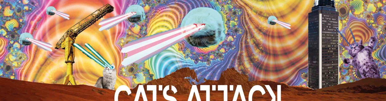 Cats Attack : Flexi M - Tranzi - Laton Raver