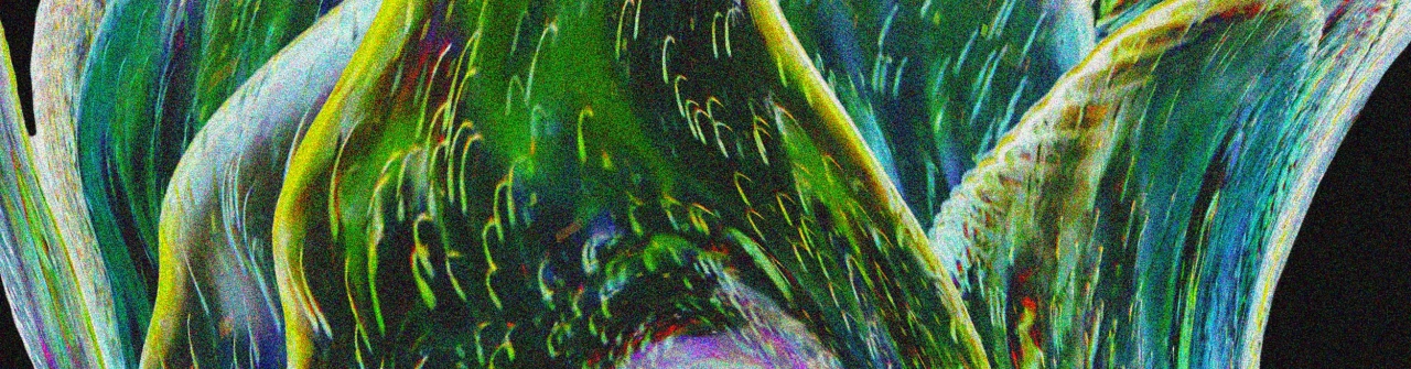 Astroclub - Trunkline (Madben & Yann Lean), La Fraîcheur, Cuften live & more