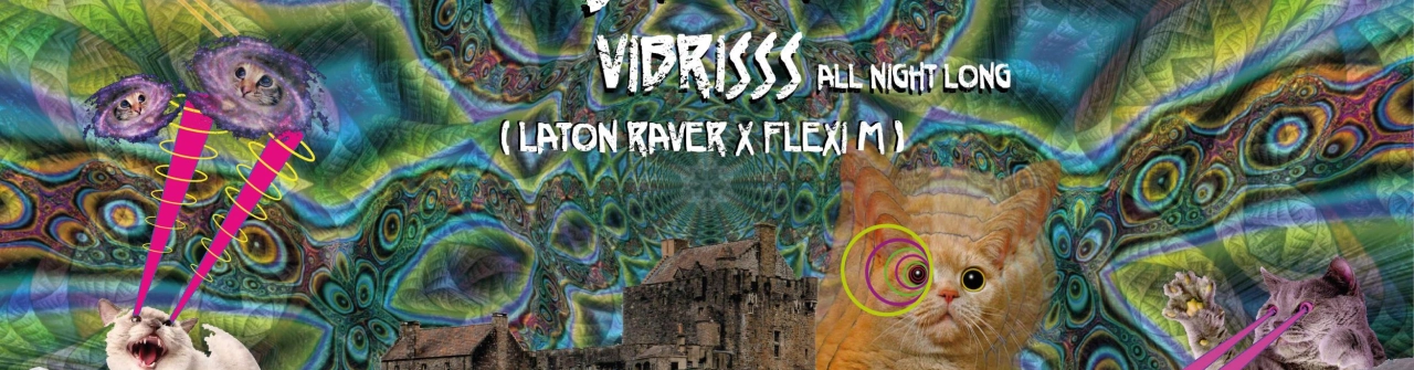 Cats Attack - Vibrisss ( All Night Long ) - Room 2