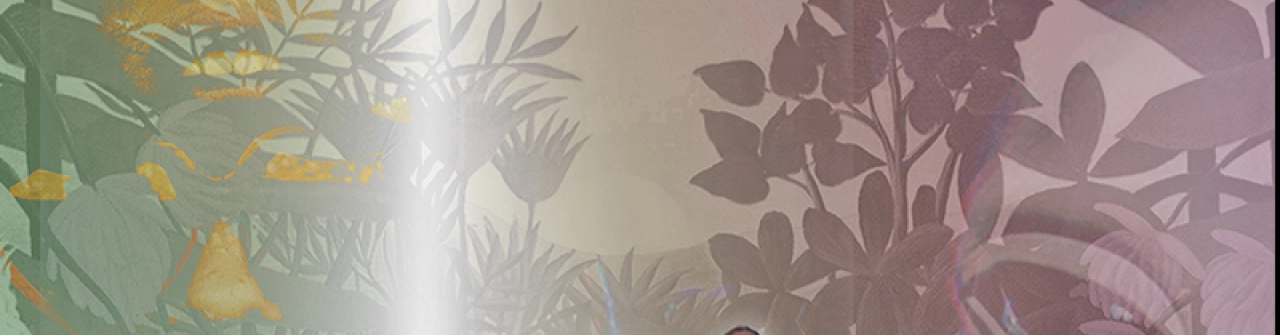 Hilight Tribe, Mandragora, Graviity
