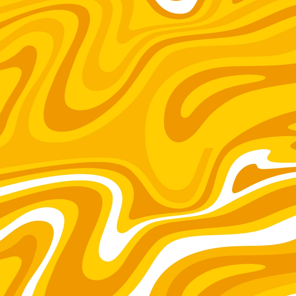 Disco Frites