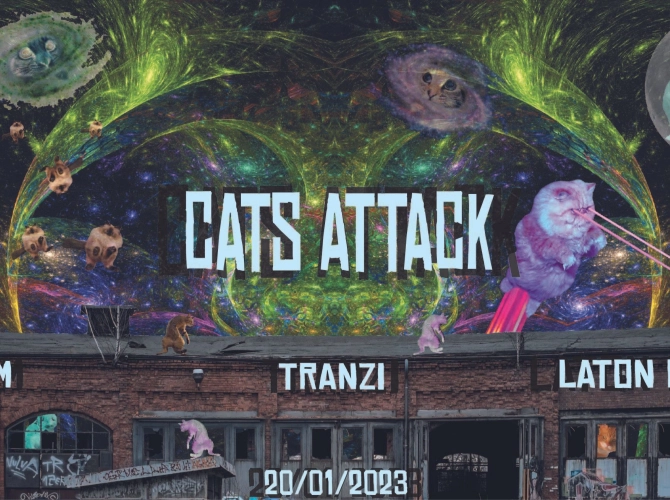 Cats Attack V2 : Flexi M - Tranzi - Laton Raver