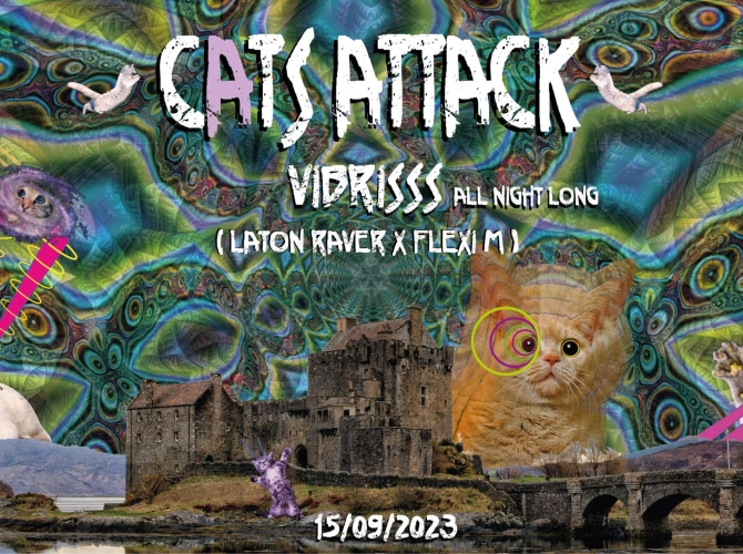 Cats Attack - Vibrisss ( All Night Long ) - Room 2