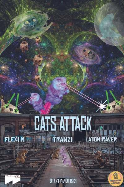 Cats Attack V2 : Flexi M - Tranzi - Laton Raver