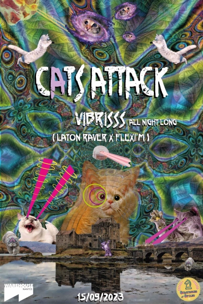 Cats Attack - Vibrisss ( All Night Long ) - Room 2