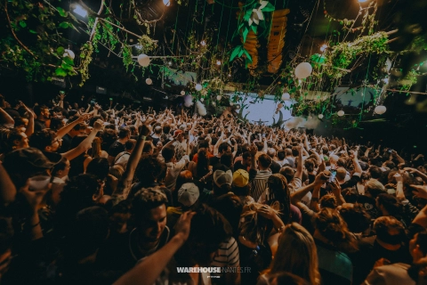 Terror Jungle
