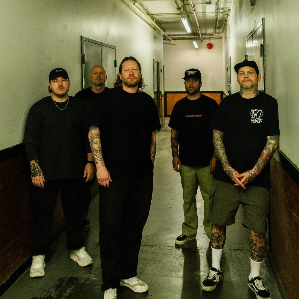 Comeback Kid
