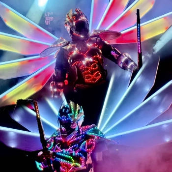 The French Performance